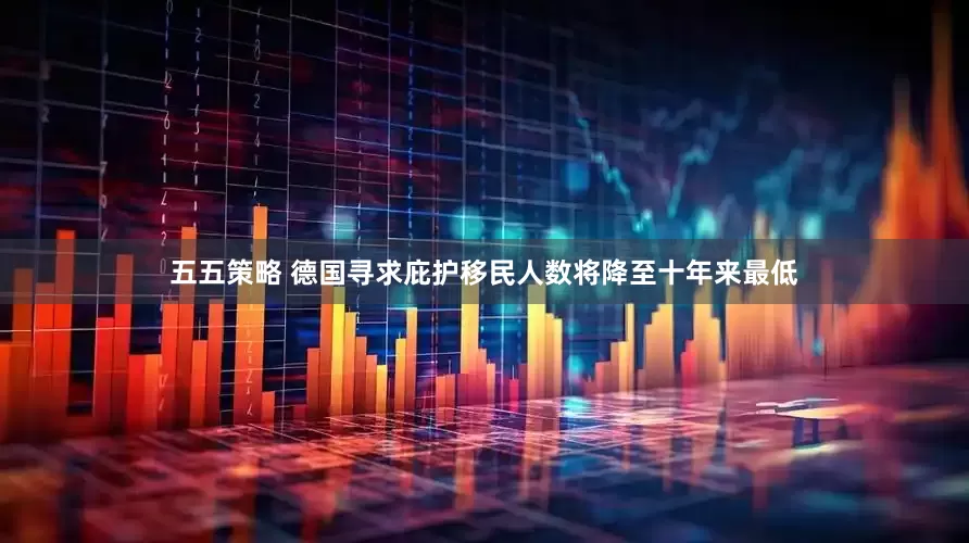 五五策略 德国寻求庇护移民人数将降至十年来最低