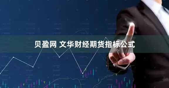 贝盈网 文华财经期货指标公式