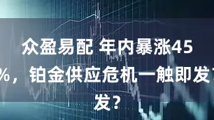 众盈易配 年内暴涨45%，铂金供应危机一触即发？