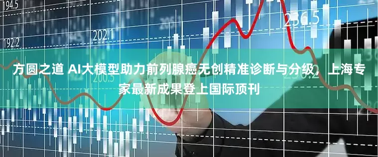 方圆之道 AI大模型助力前列腺癌无创精准诊断与分级，上海专家最新成果登上国际顶刊