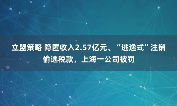 立盟策略 隐匿收入2.57亿元、“逃逸式”注销偷逃税款，上海一公司被罚