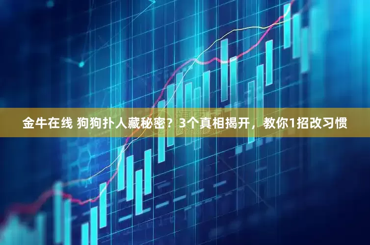 金牛在线 狗狗扑人藏秘密？3个真相揭开，教你1招改习惯